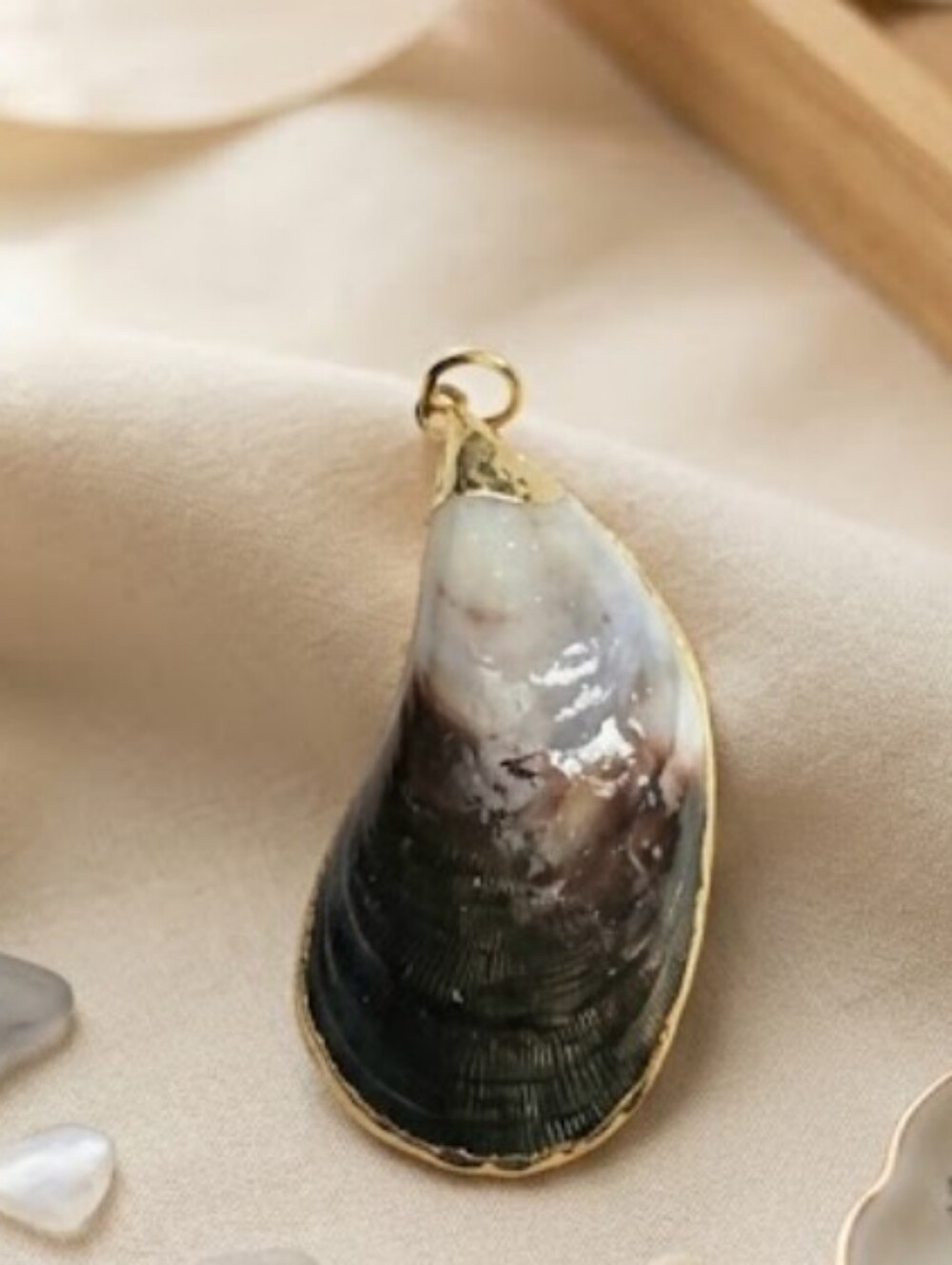 Seashell Pendant with Gold Edging. No Chain